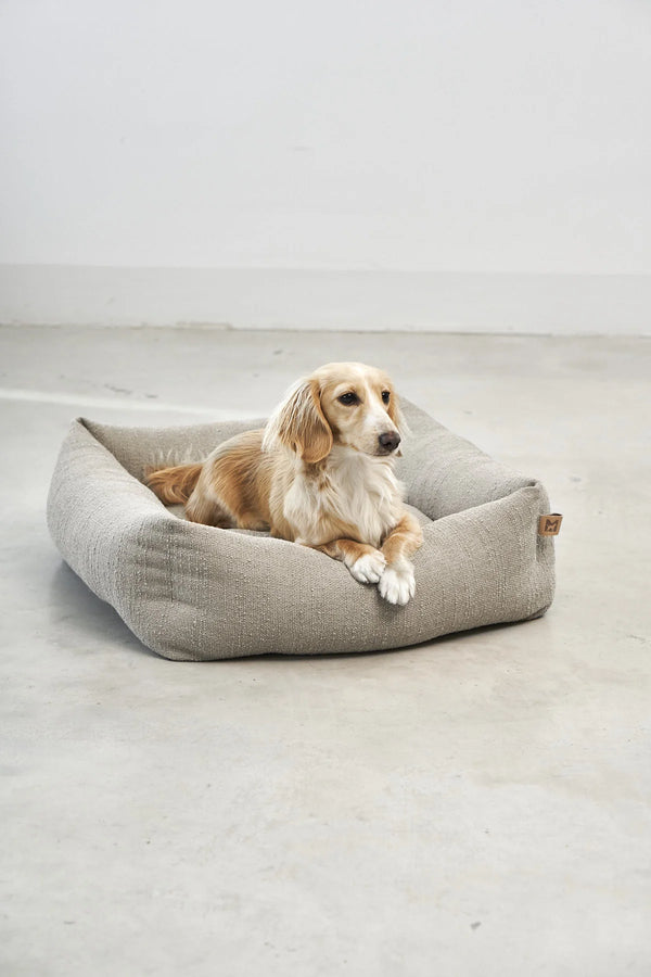 CAMPO — Panier orthopédique cocon pour petit chien
