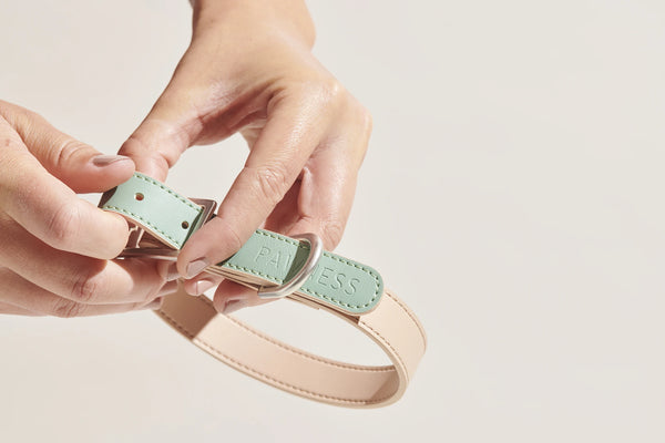 AZUR — Le collier en cuir végan bicolore à l'allure sophistiquée