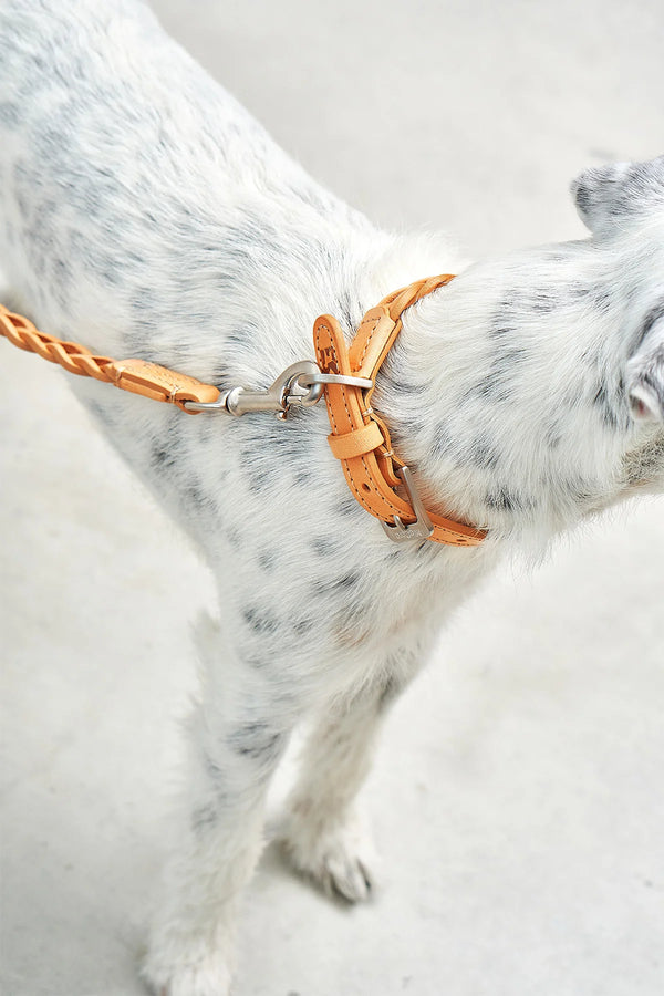 BERGAMO — Le collier tressé, fait main pour durer