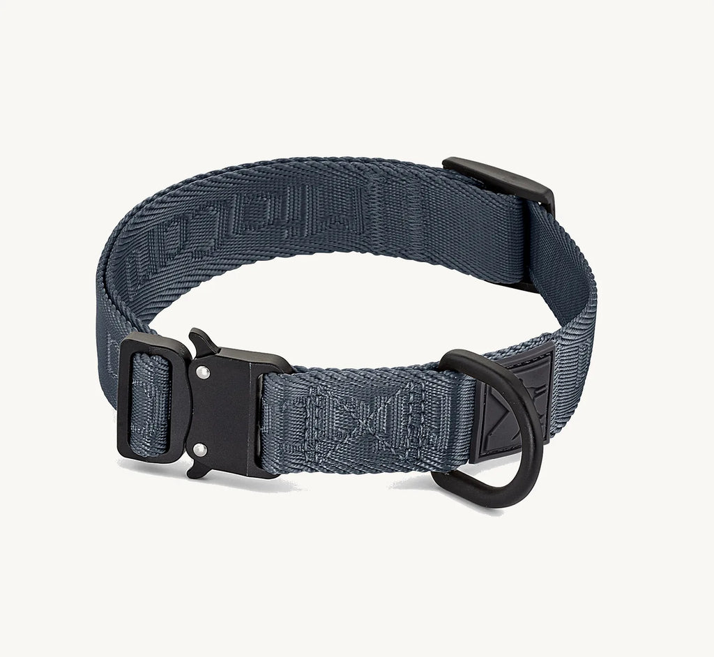Collier Modena Walk couleur Asphalte, vue de face – Maison Canisya