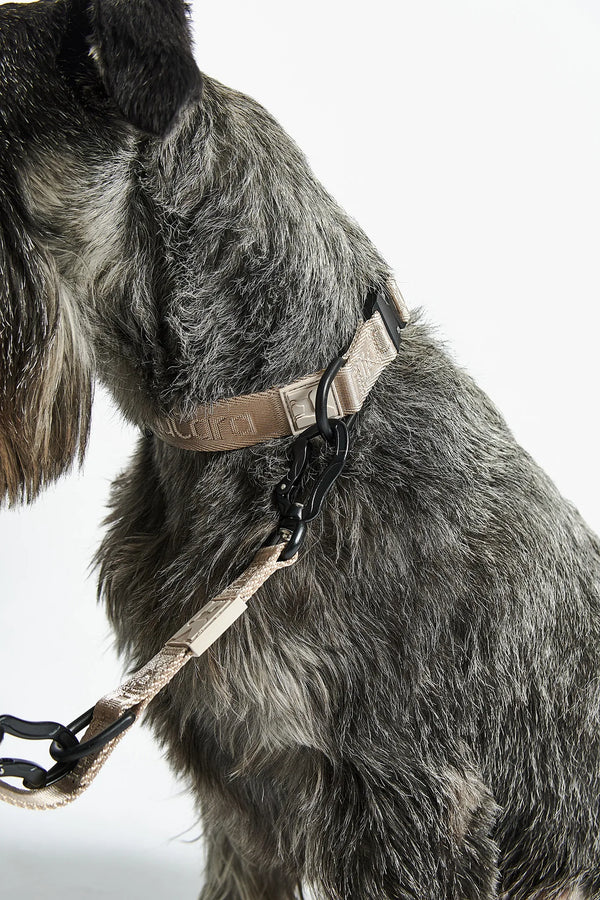 MODENA — Collier de promenade en jacquard tissé
