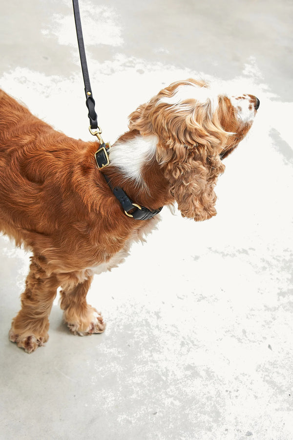 PALERMO — Collier en cuir tressé végétal, quincaillerie laiton