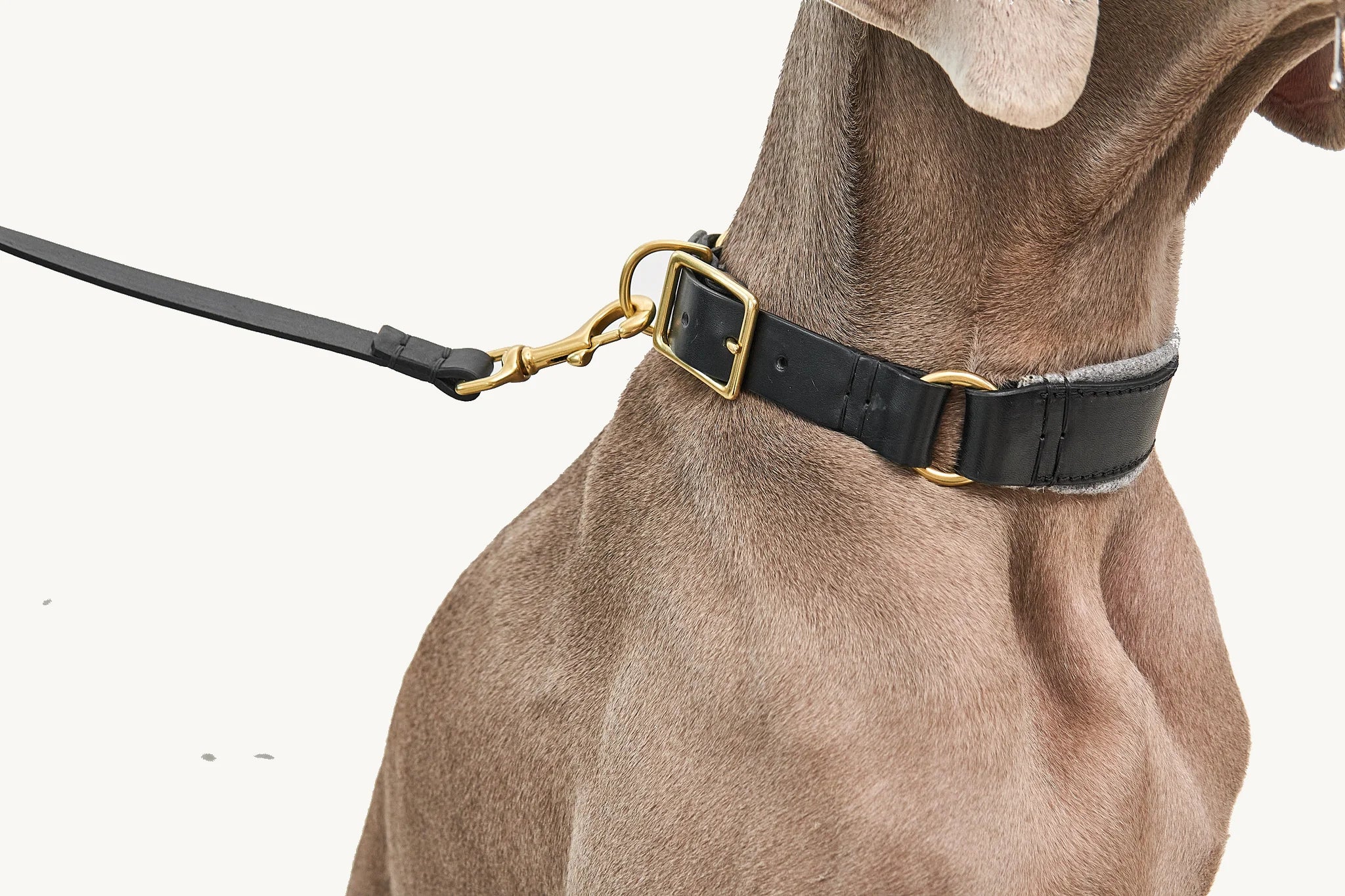 Collier Siena — Détail boucle et anneaux en laiton massif, cuir noir — Maison Canisya