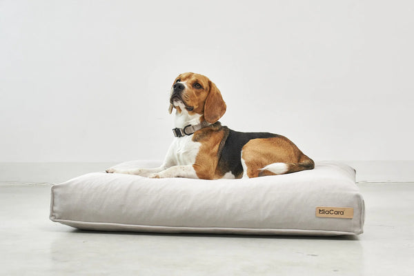 COMODO COUSSIN — Coussin pour chien à garnissage haute résilience et creux ergonomique