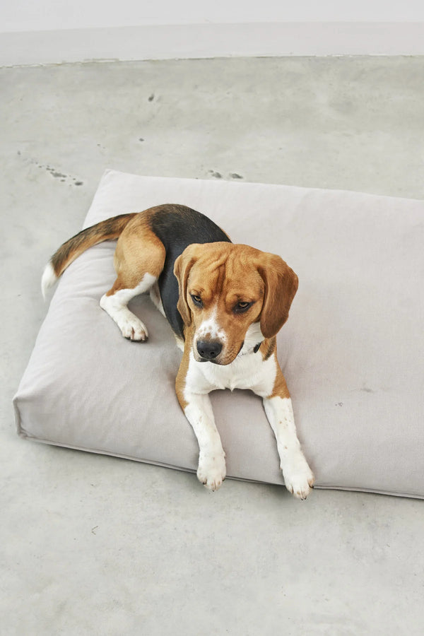 COMODO COUSSIN — Coussin pour chien à garnissage haute résilience et creux ergonomique