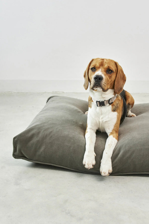 COMODO COUSSIN — Coussin pour chien à garnissage haute résilience et creux ergonomique