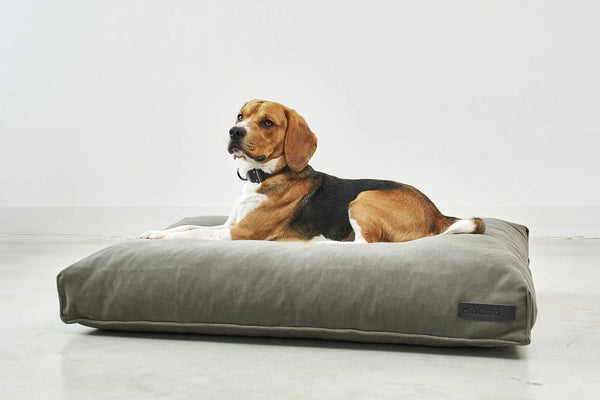 COMODO COUSSIN — Coussin pour chien à garnissage haute résilience et creux ergonomique