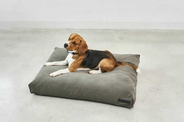 COMODO COUSSIN — Coussin pour chien à garnissage haute résilience et creux ergonomique