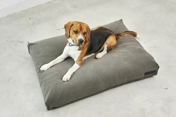 COMODO COUSSIN — Coussin pour chien à garnissage haute résilience et creux ergonomique