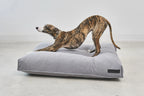 Comodo Coussin – coussin pour chien gris ardoise avec whippet debout dessus – Maison Canisya