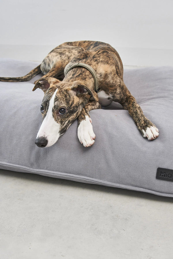 COMODO COUSSIN — Coussin pour chien à garnissage haute résilience et creux ergonomique