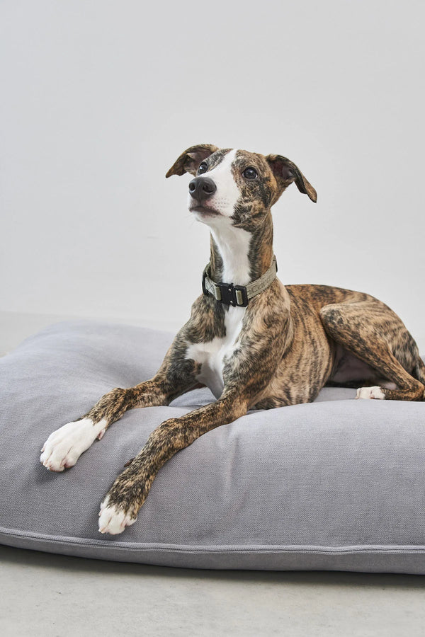 COMODO COUSSIN — Coussin pour chien à garnissage haute résilience et creux ergonomique