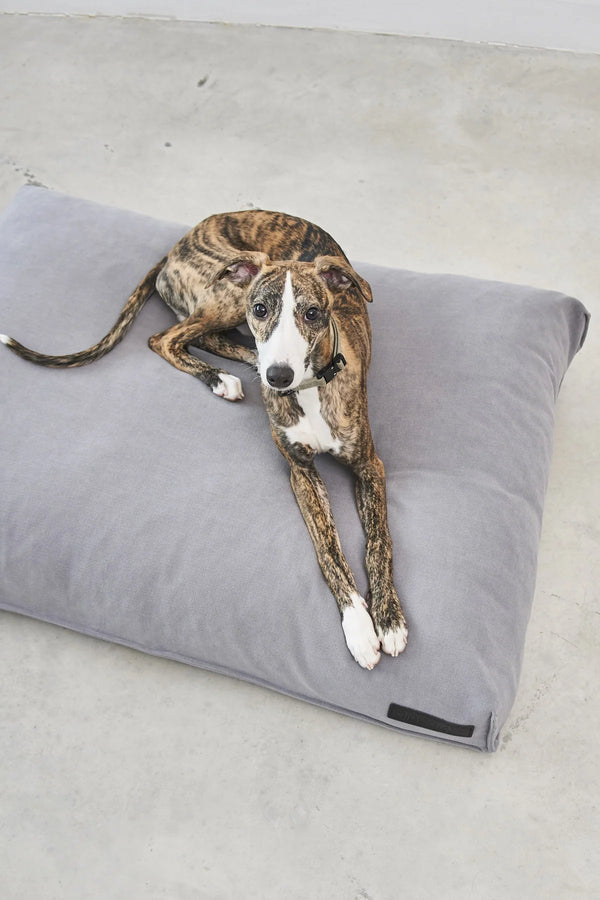 COMODO COUSSIN — Coussin pour chien à garnissage haute résilience et creux ergonomique