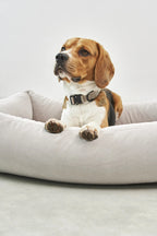 Comodo Housse – housse de lit pour chien greige avec beagle en portrait – Maison Canisya