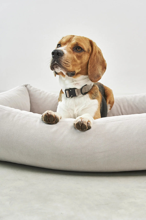 COMODO — Lit pour chien en tissu premium, garnissage orthopédique