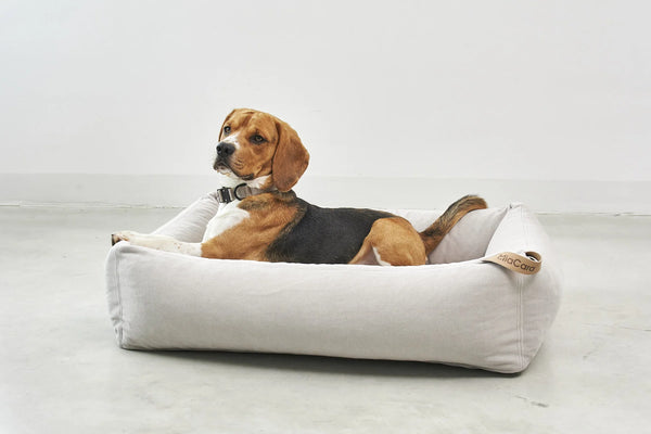 COMODO — Lit pour chien en tissu premium, garnissage orthopédique