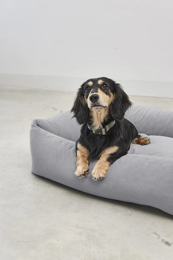 COMODO — Lit pour chien en tissu premium, garnissage orthopédique