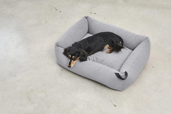 COMODO — Lit pour chien en tissu premium, garnissage orthopédique