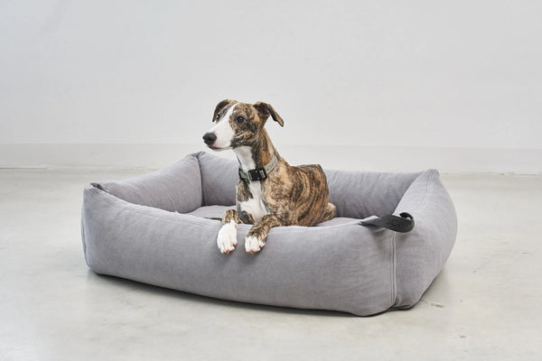 COMODO — Lit pour chien en tissu premium, garnissage orthopédique