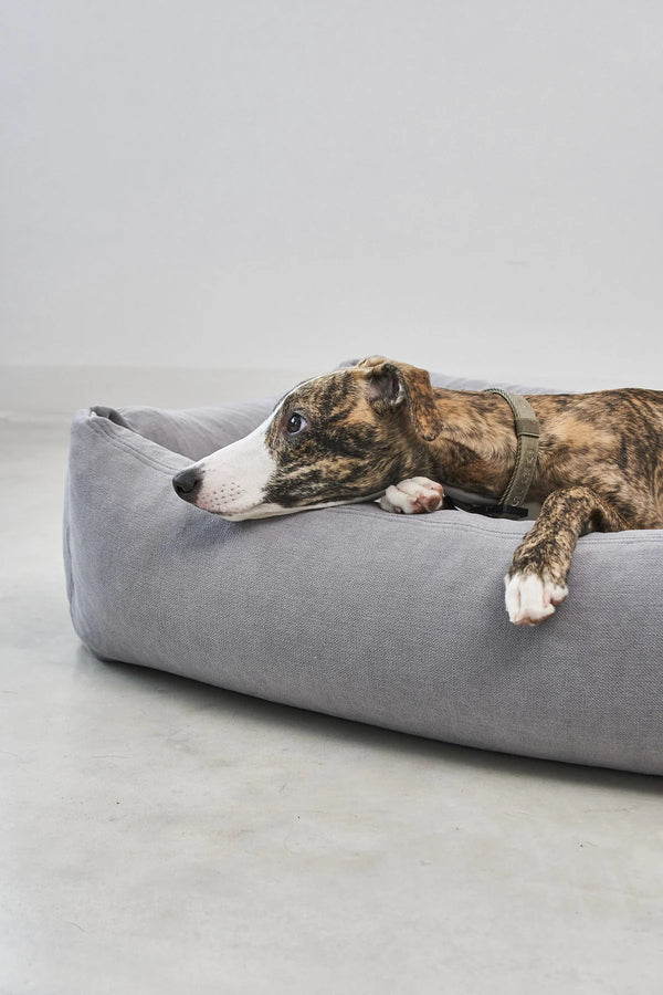 COMODO — Lit pour chien en tissu premium, garnissage orthopédique
