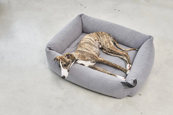 COMODO — Lit pour chien en tissu premium, garnissage orthopédique