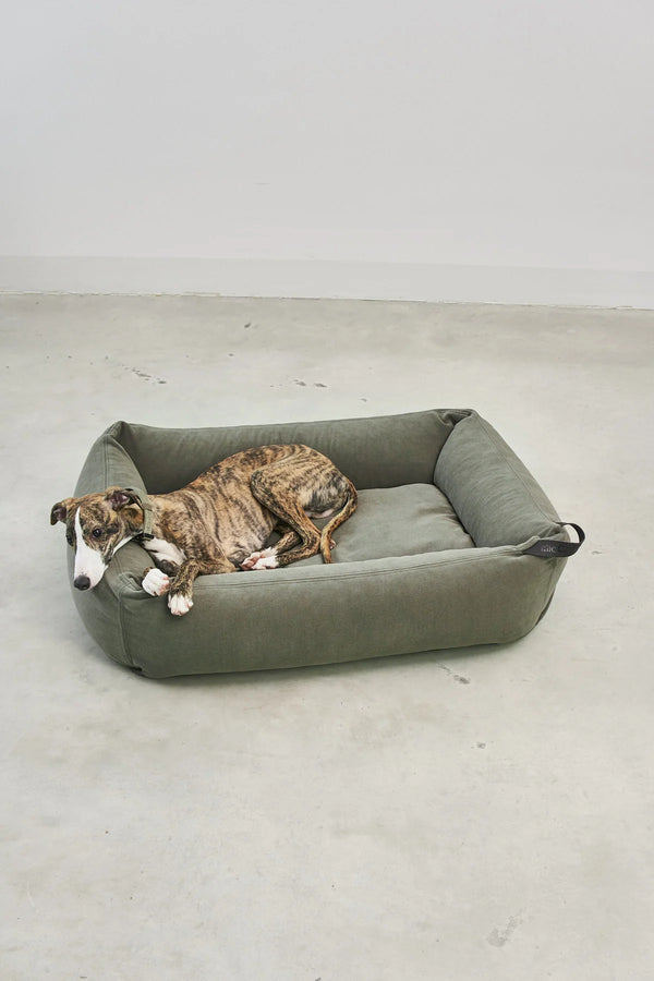 COMODO — Lit pour chien en tissu premium, garnissage orthopédique