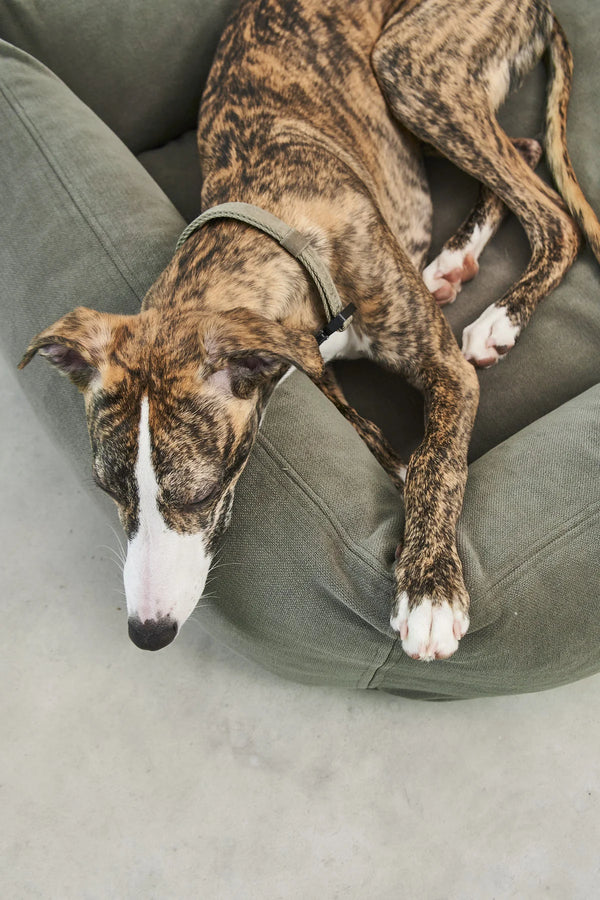 COMODO — Lit pour chien en tissu premium, garnissage orthopédique