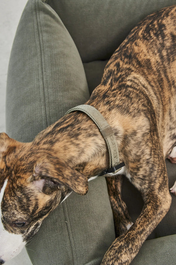 COMODO — Lit pour chien en tissu premium, garnissage orthopédique