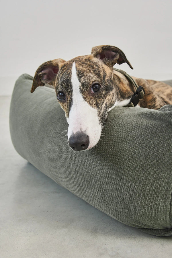 COMODO — Lit pour chien en tissu premium, garnissage orthopédique