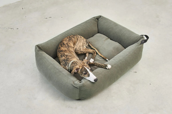 COMODO — Lit pour chien en tissu premium, garnissage orthopédique