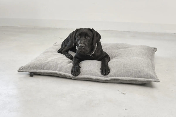 CAMPO — Coussin orthopédique pour chien, confort intemporel