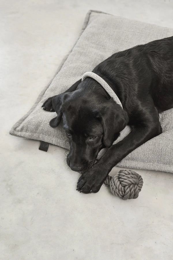CAMPO — Coussin orthopédique pour chien, confort intemporel