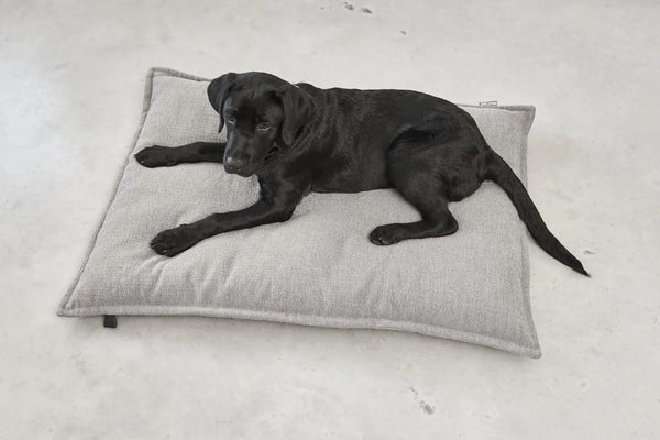 CAMPO — Coussin orthopédique pour chien, confort intemporel