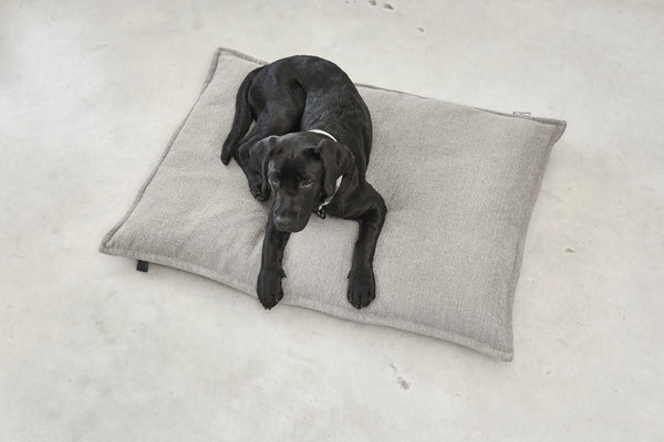 CAMPO — Coussin orthopédique pour chien, confort intemporel