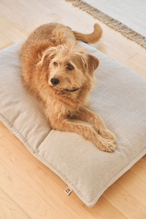 Coussin Campo – chien couché, tête posée sur la bordure matelassée – Maison Canisya