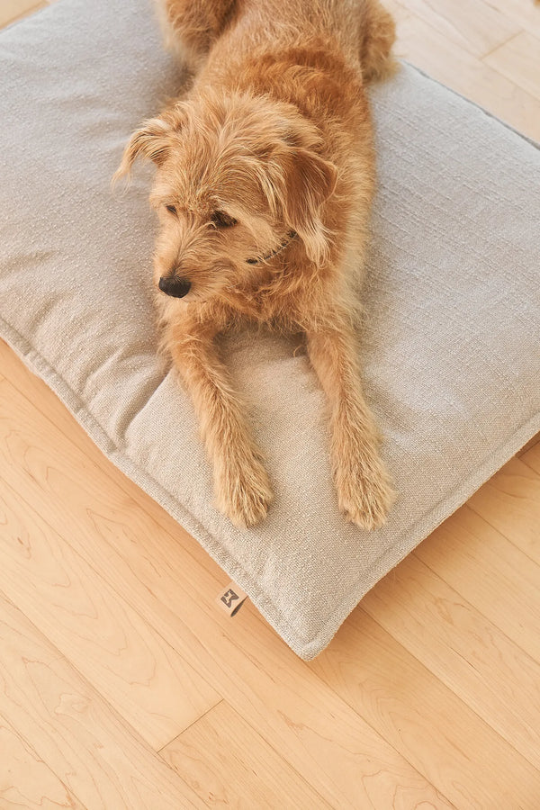 CAMPO — Coussin orthopédique pour chien, confort intemporel