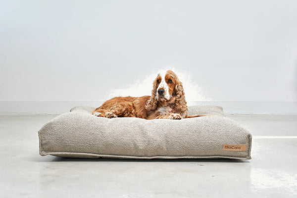 COUSSIN MONDO — Coussin pour chien en bouclette avec creux central ergonomique, trois coloris