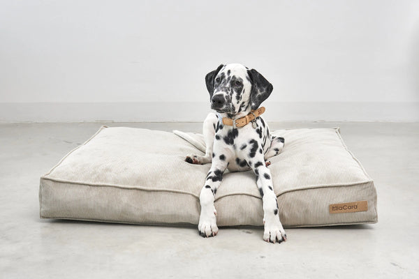 CORDO — Coussin en velours côtelé pour intérieur design