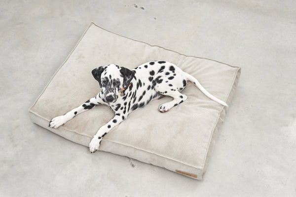 CORDO — Coussin en velours côtelé pour intérieur design