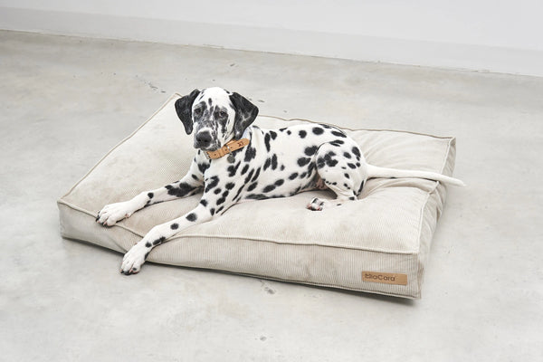 CORDO — Coussin en velours côtelé pour intérieur design