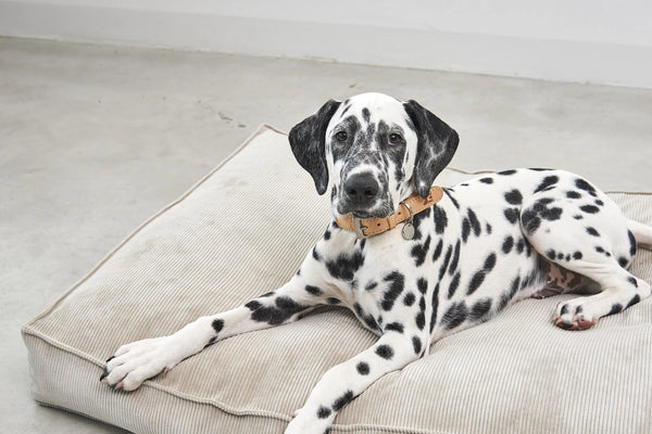 CORDO — Coussin en velours côtelé pour intérieur design