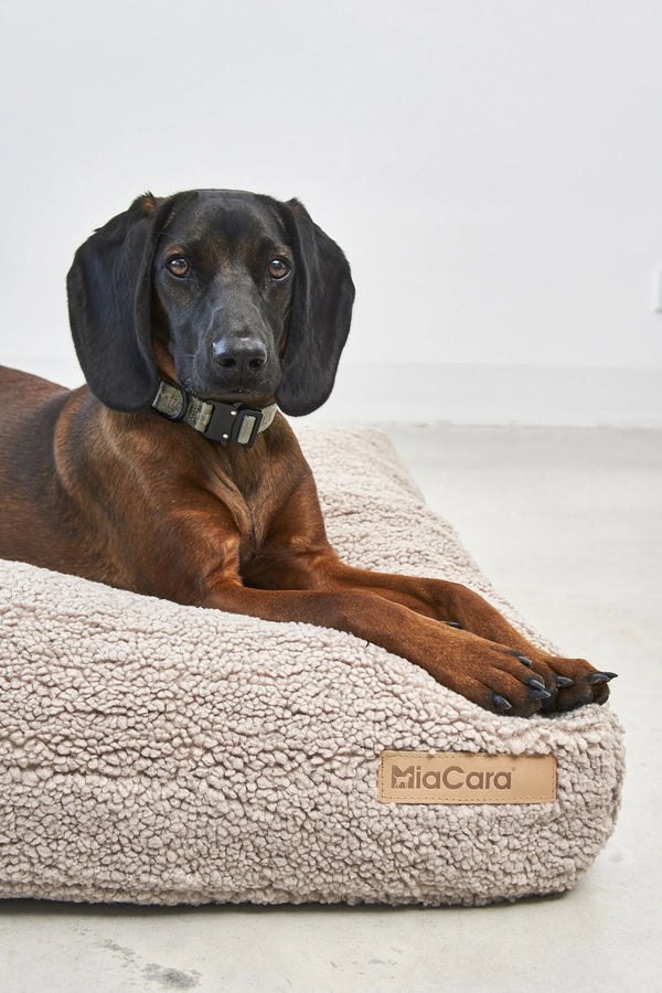 SENSO — Coussin pour chien en bouclé haut de gamme