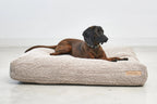 Coussin Senso MiaCara coloris greige avec Cocker Spaniel vue de dessus portrait – Maison Canisya