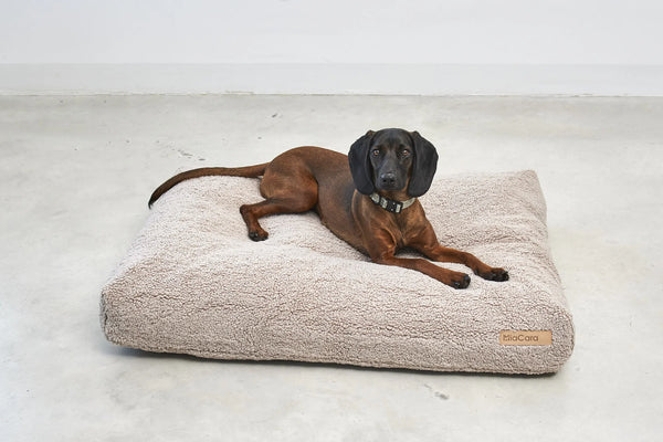 SENSO — Coussin pour chien en bouclé haut de gamme