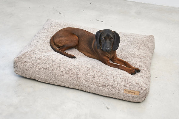 SENSO — Coussin pour chien en bouclé haut de gamme