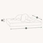 Coussin Senso MiaCara – illustration des dimensions et guide des tailles – Maison Canisya