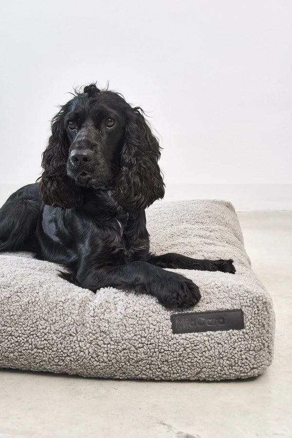 SENSO — Coussin pour chien en bouclé haut de gamme