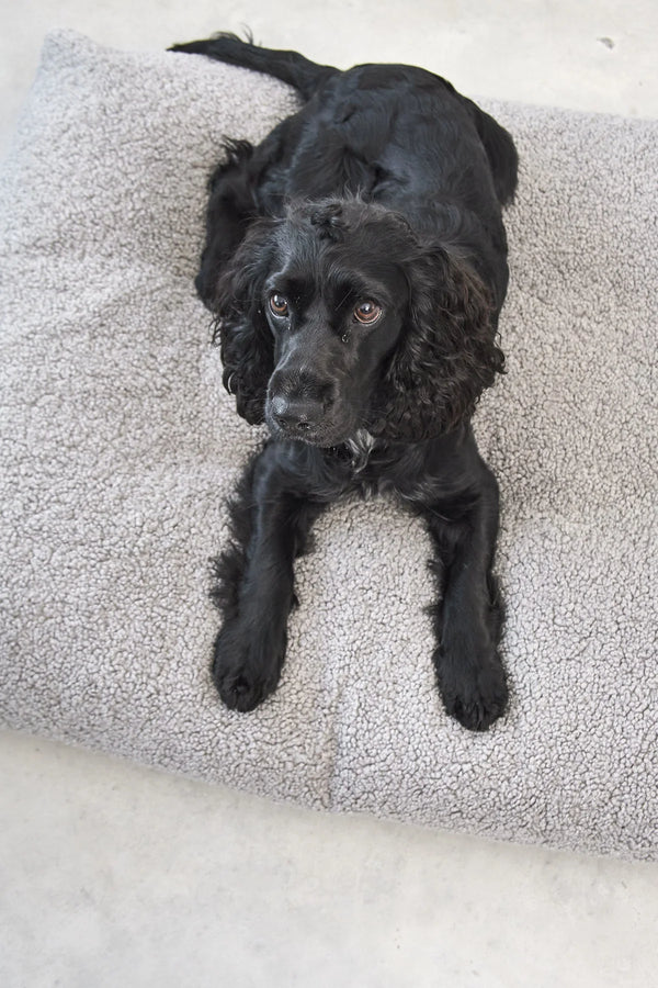 SENSO — Coussin pour chien en bouclé haut de gamme