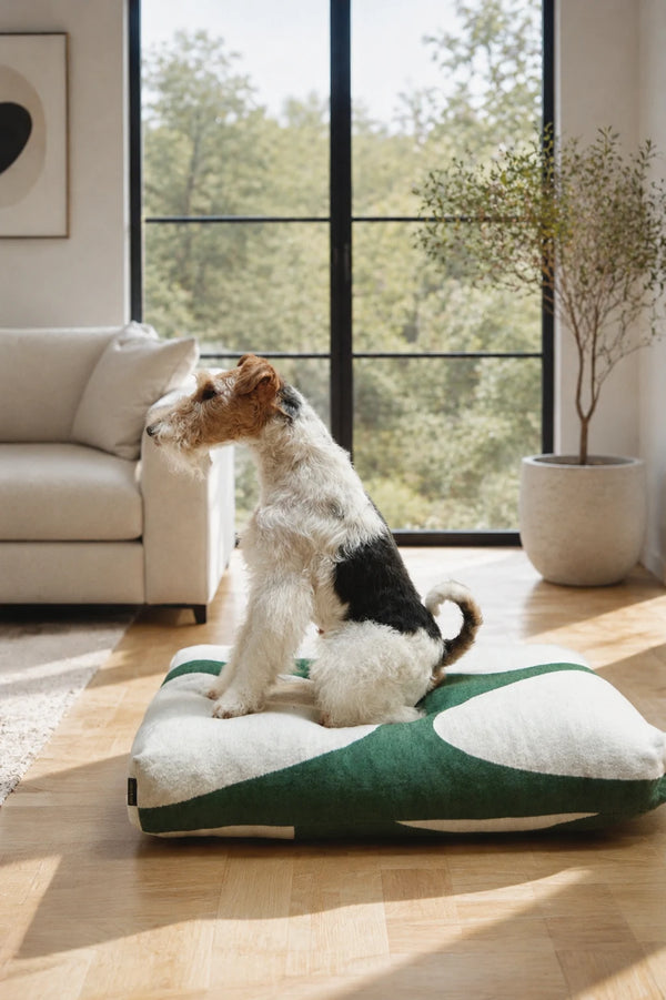 STONE — Coussin pour chien au tissu distinctif façon pierre naturelle