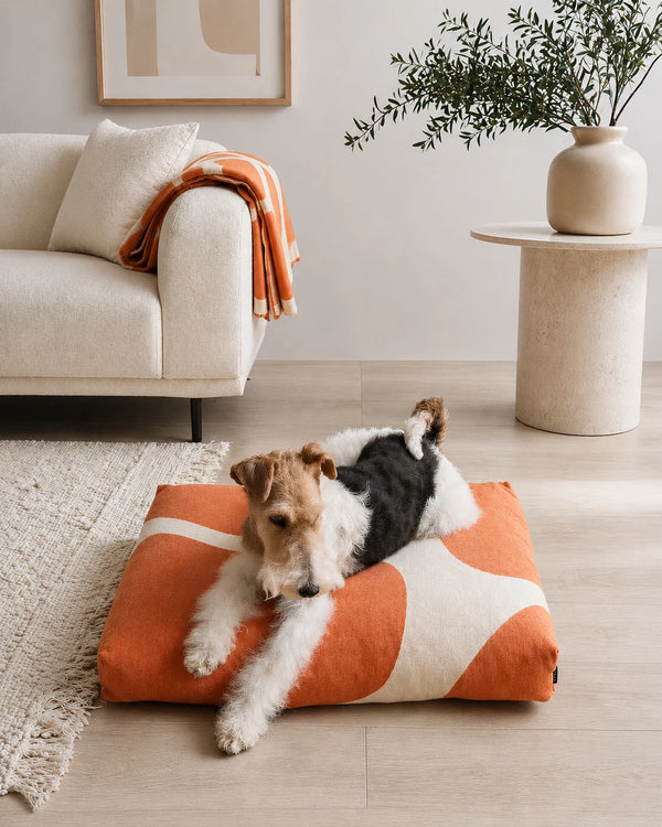 STONE — Coussin pour chien au tissu distinctif façon pierre naturelle